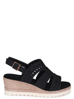 Linzi CARYN Fashion