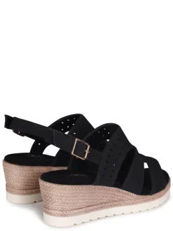 Linzi CARYN Fashion