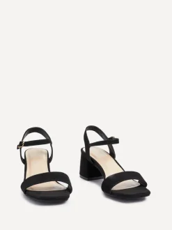 Linzi DARCIE New