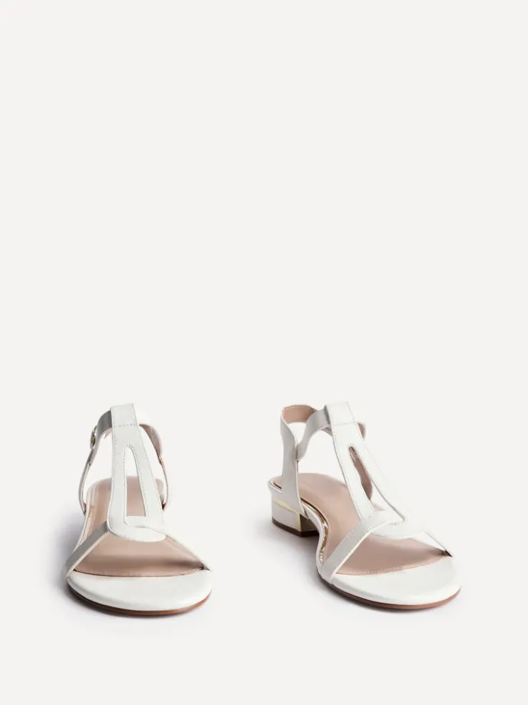 Linzi DELUXE New