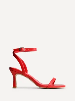 Linzi ELEVATE Fashion