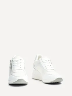 Linzi EVERETT Sale