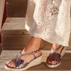 Linzi EVOLVE Sale
