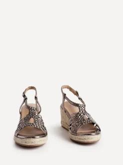 Linzi EVOLVE Sale