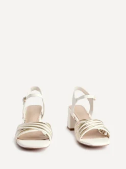 Linzi GENNA New