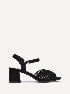 Linzi IVY Outlet