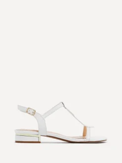 Linzi LAVISH Fashion