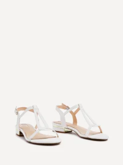 Linzi LAVISH Fashion