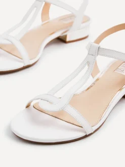 Linzi LAVISH Fashion