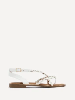 Linzi NOVA Outlet