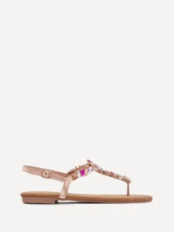 Linzi VIOLA Sale