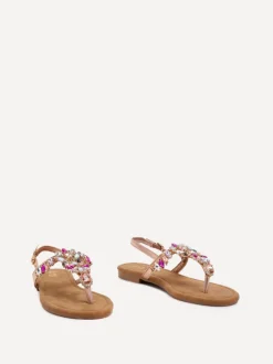 Linzi VIOLA Sale