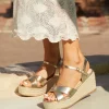 Linzi VISION Fashion