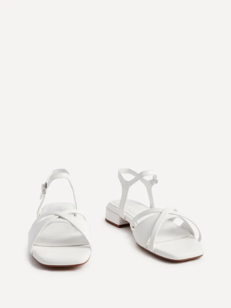 Linzi ZENNA Sale
